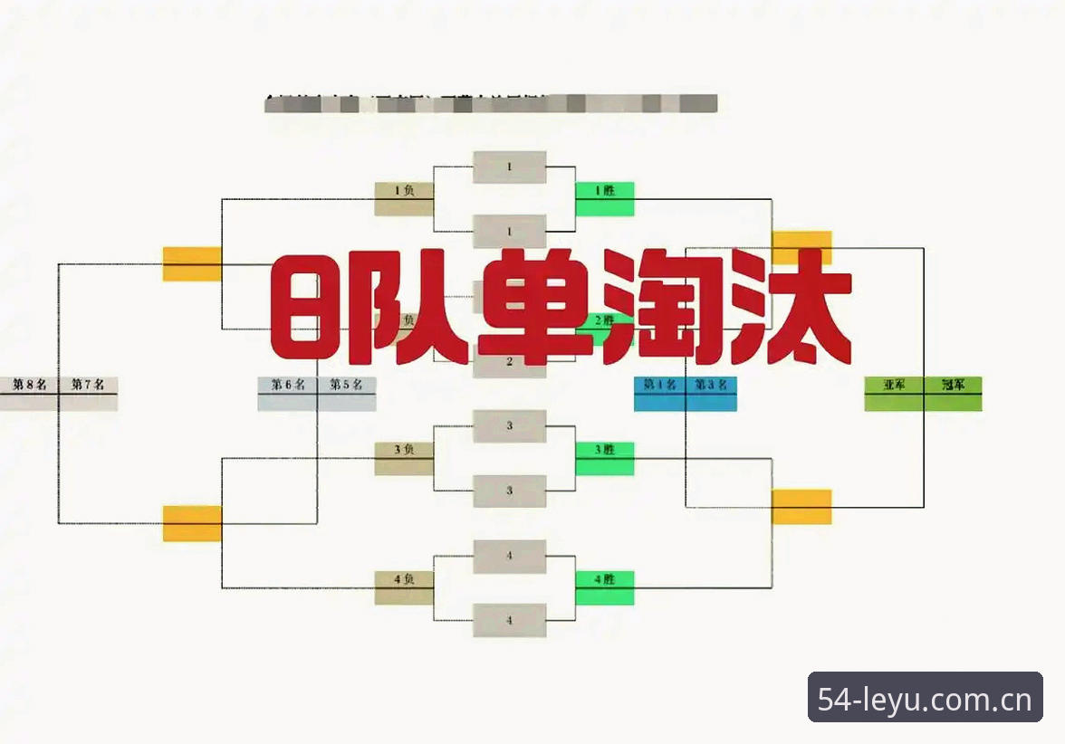 法网女单决赛的两种路径：安德列娃的统治力vs赫瓦林斯卡的黑马奇迹——乐鱼体育平台的深度解析